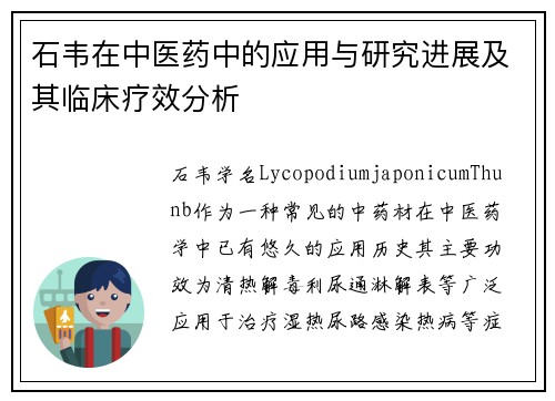 石韦在中医药中的应用与研究进展及其临床疗效分析